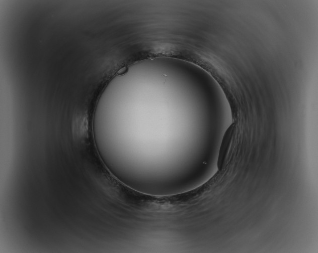 X0000095130502200712141159