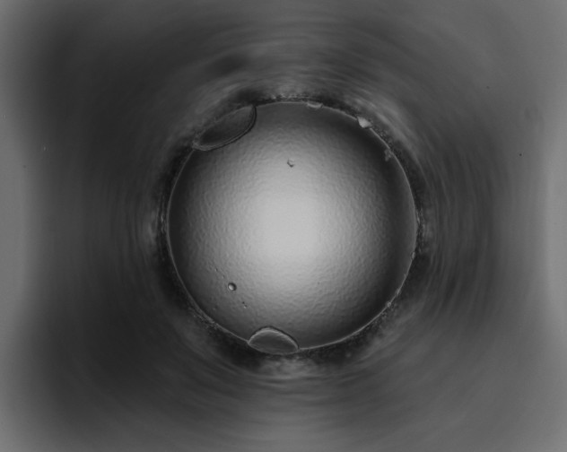 X0000095130503200712141159