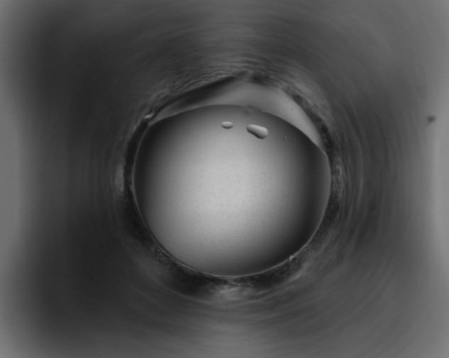 X0000095130504200712141159