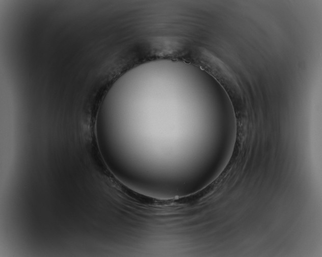 X0000095130510200712141159