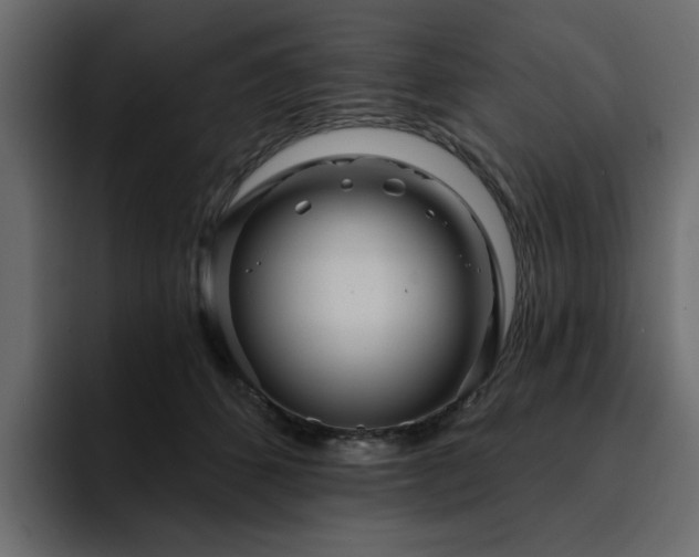 X0000095130512200712141159