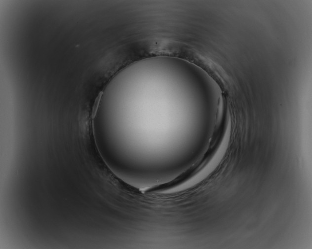 X0000095130513200712141159