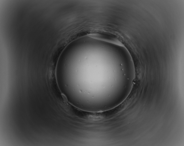 X0000095130515200712141159