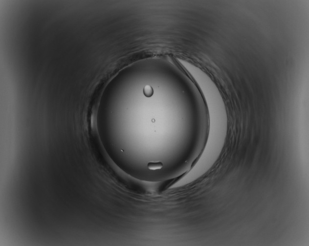 X0000095130516200712141159