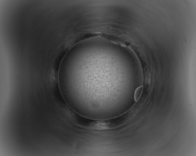 X0000095130518200712141159