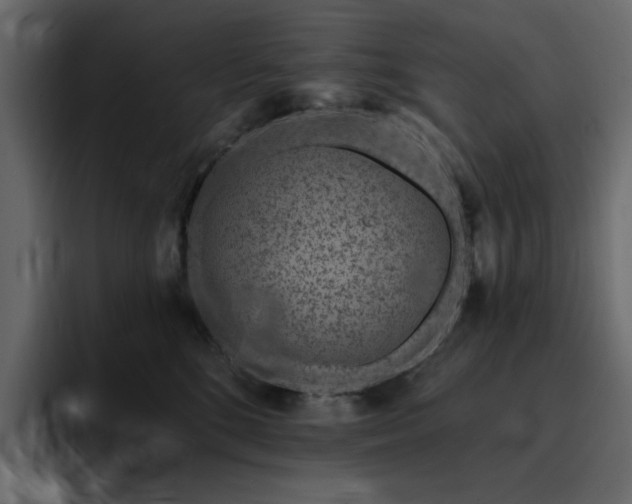 X0000095130520200712141159