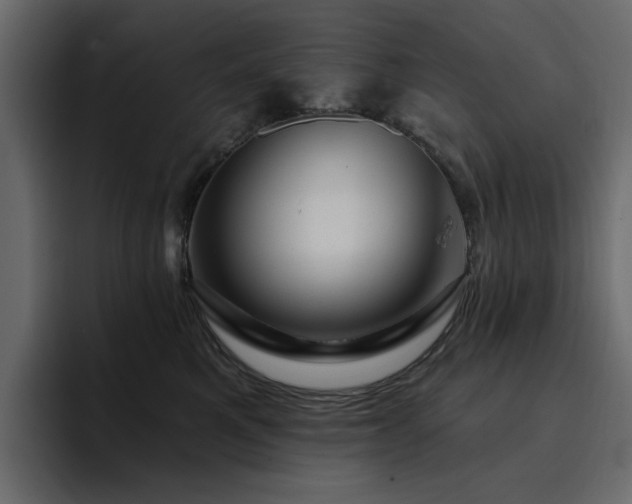 X0000095130521200712141159