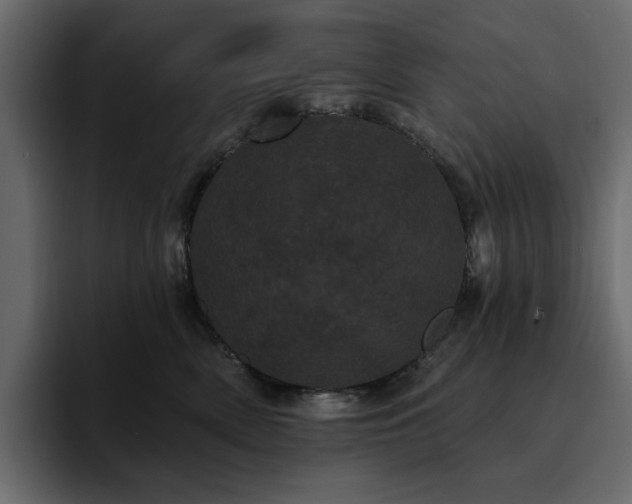 X0000095130522200712141159