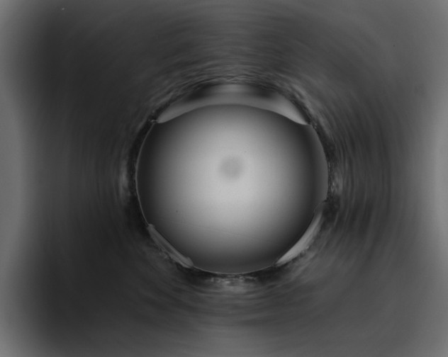 X0000095130524200712141159