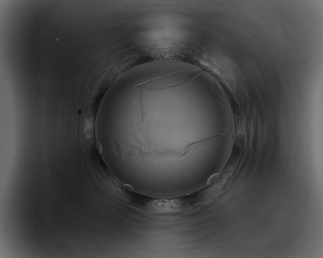 X0000095130526200712141159