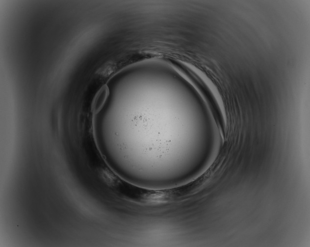 X0000095130527200712141159