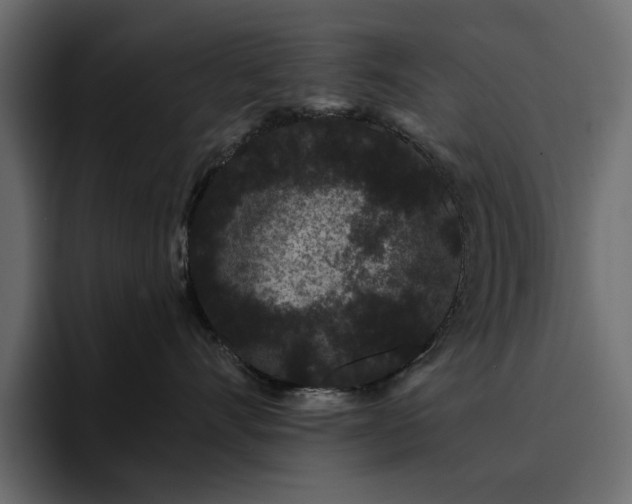 X0000095130528200712141159