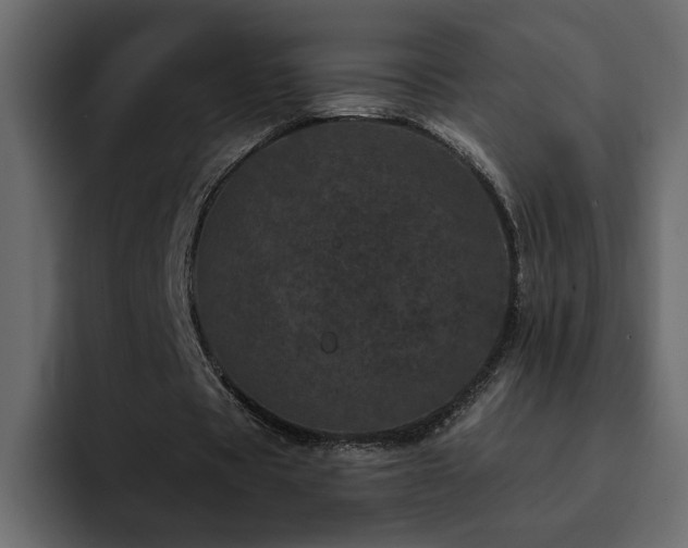 X0000095130529200712141158