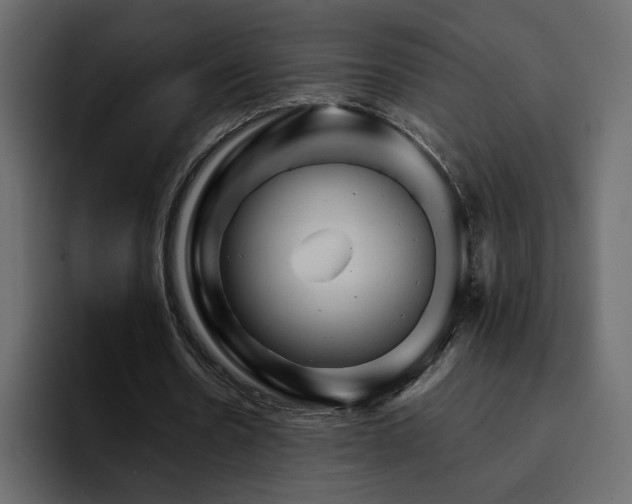 X0000095130530200712141158