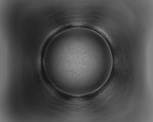 X0000095130535200712141158