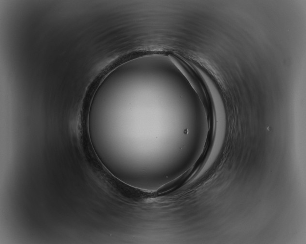 X0000095130536200712141158