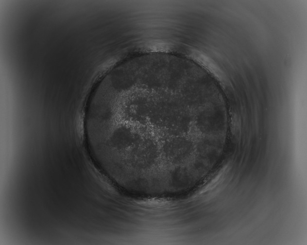 X0000095130537200712141158