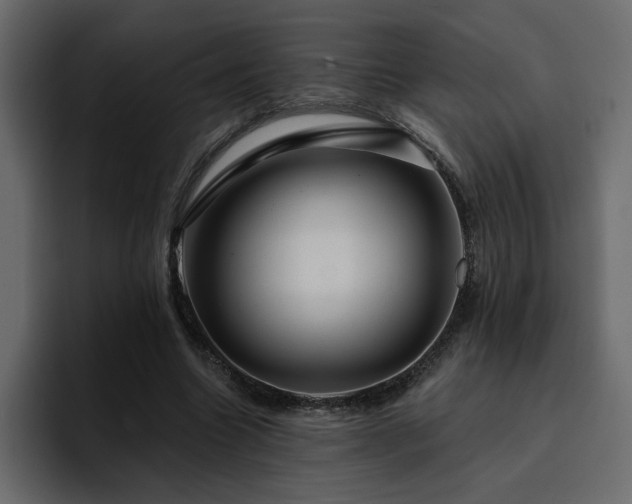 X0000095130538200712141158