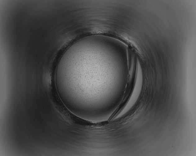 X0000095130539200712141158