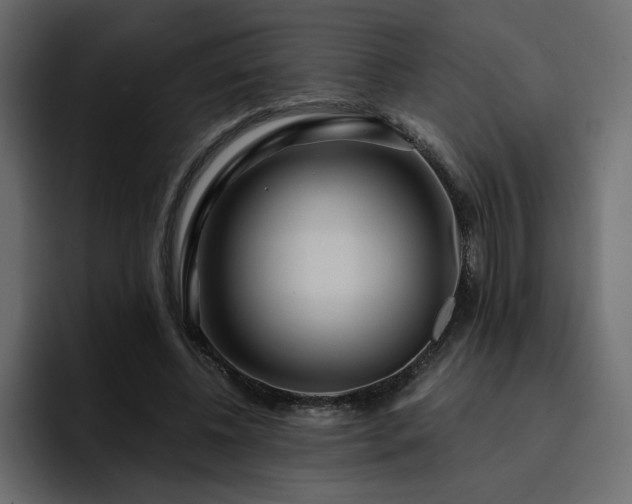 X0000095130540200712141158