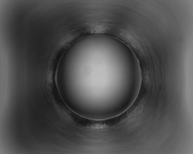 X0000095130543200712141158