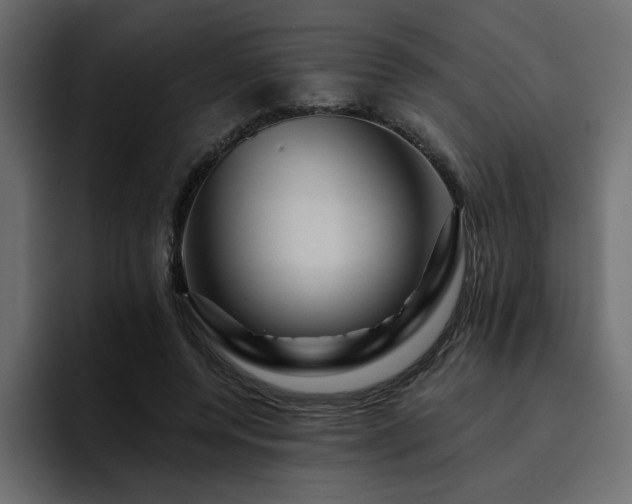 X0000095130544200712141158