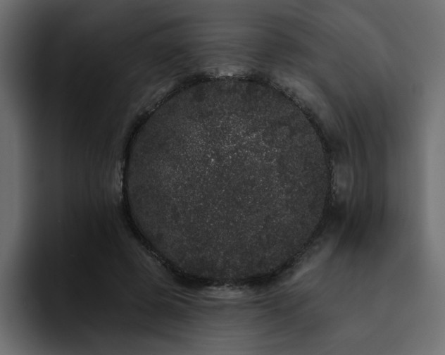 X0000095130545200712141158