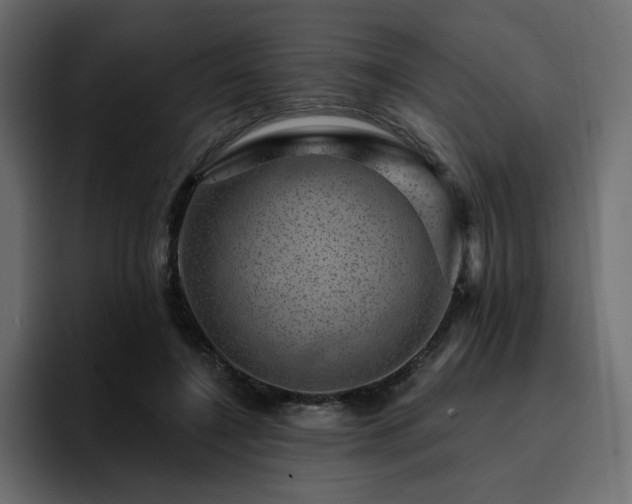 X0000095130548200712141158