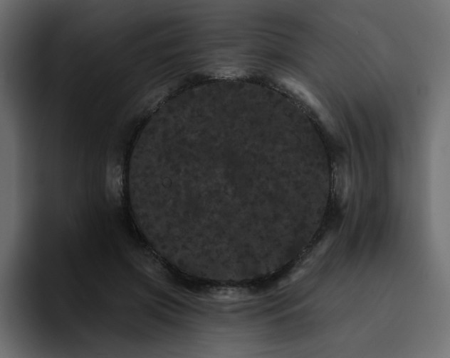 X0000095130549200712141158