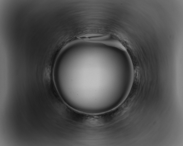 X0000095130550200712141158