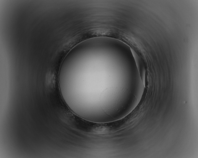 X0000095130551200712141158