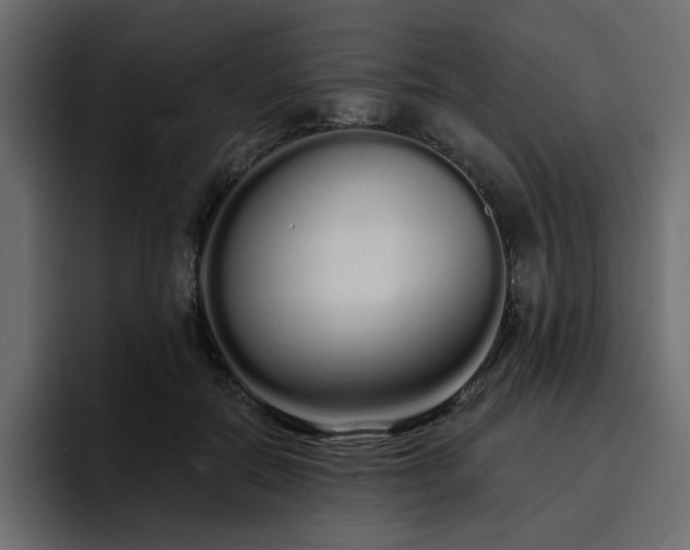 X0000095130554200712141158