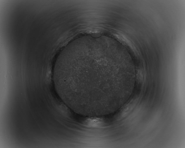 X0000095130557200712141158