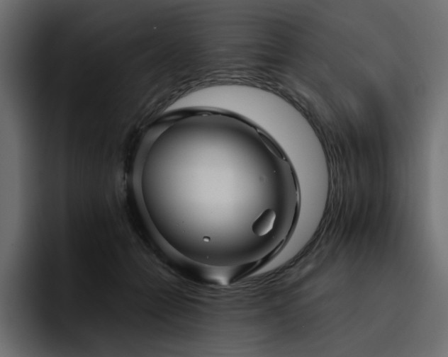 X0000095130558200712141158