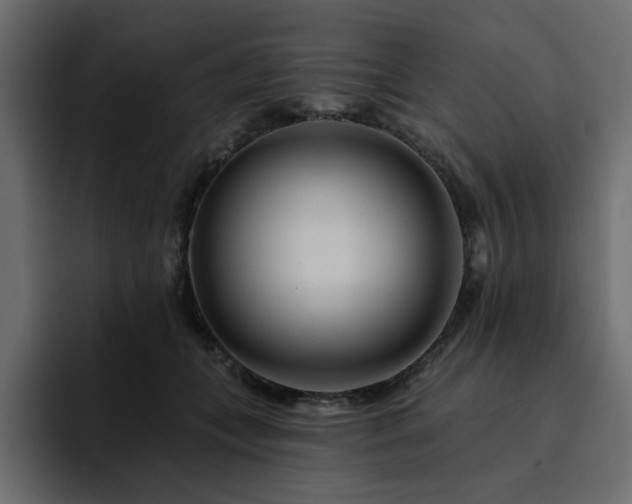 X0000095130559200712141159