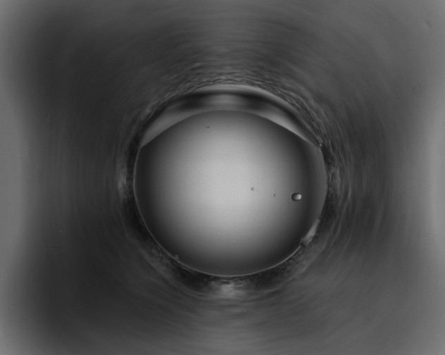 X0000095130564200712141159