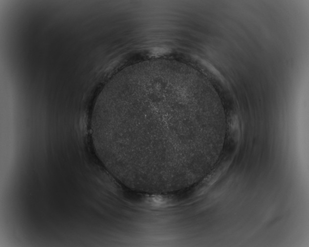 X0000095130565200712141159