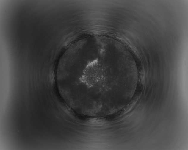 X0000095130568200712141159