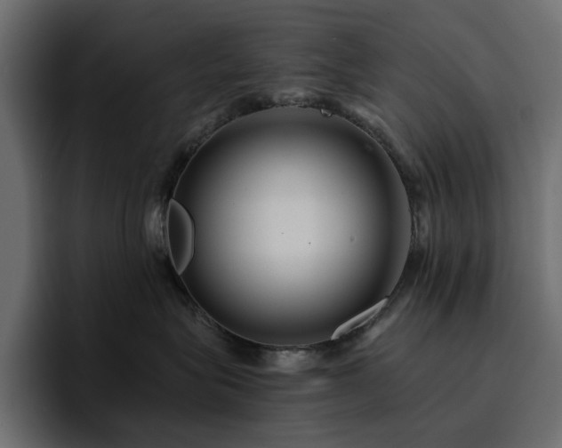 X0000095130575200712141159