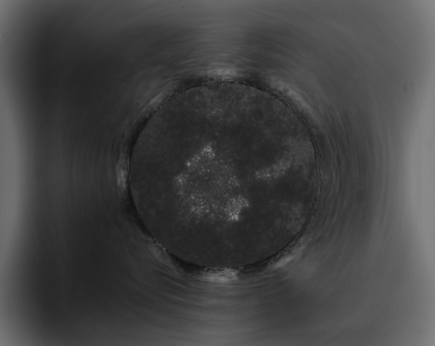 X0000095130576200712141159