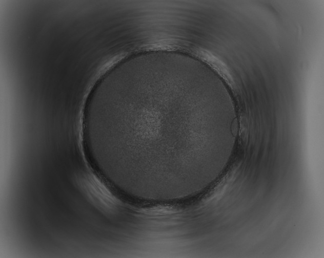 X0000095130578200712141158