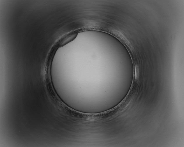 X0000095130579200712141158