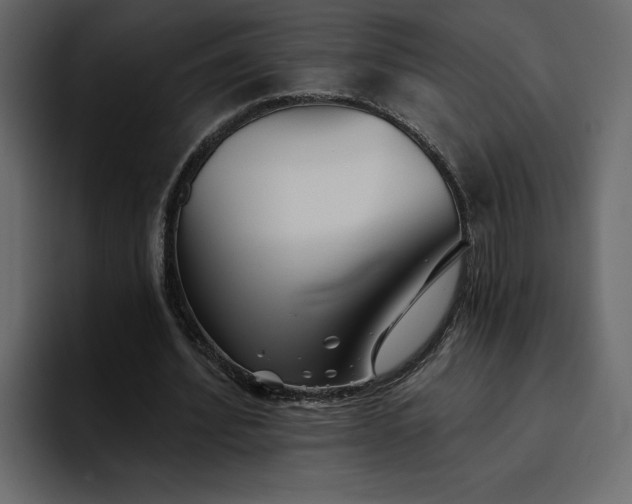 X0000095130580200712141158