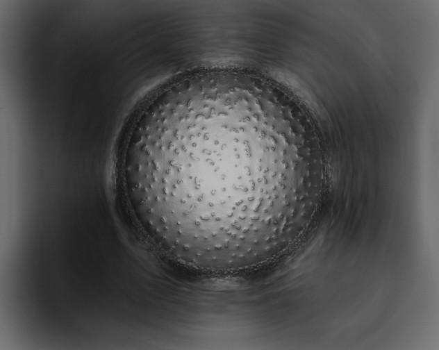 X0000095130583200712141158