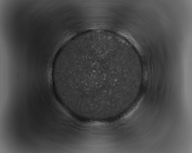 X0000095130585200712141158