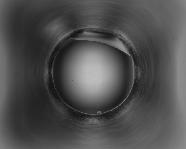 X0000095130588200712141158