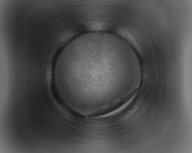 X0000095130590200712141158