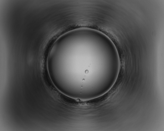 X0000095130591200712141158