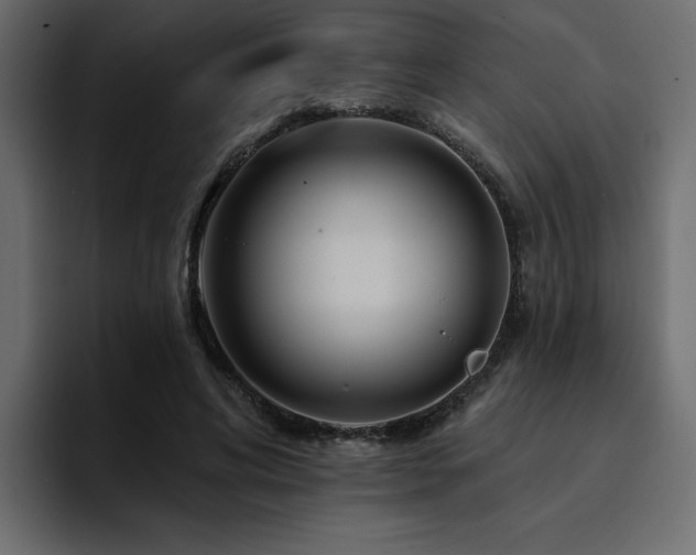 X0000095130592200712141158