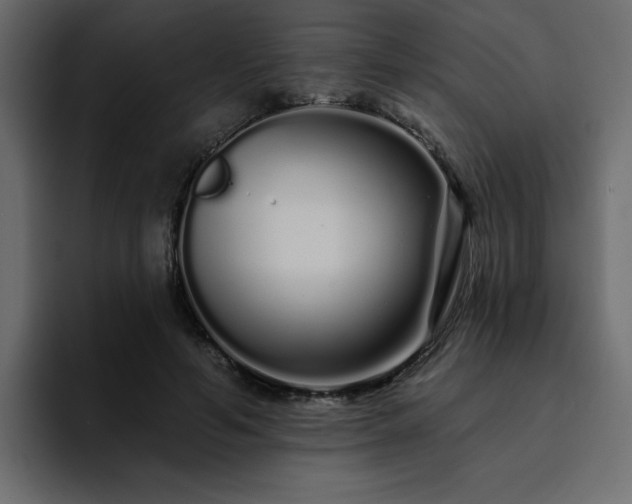 X0000095130594200712141158